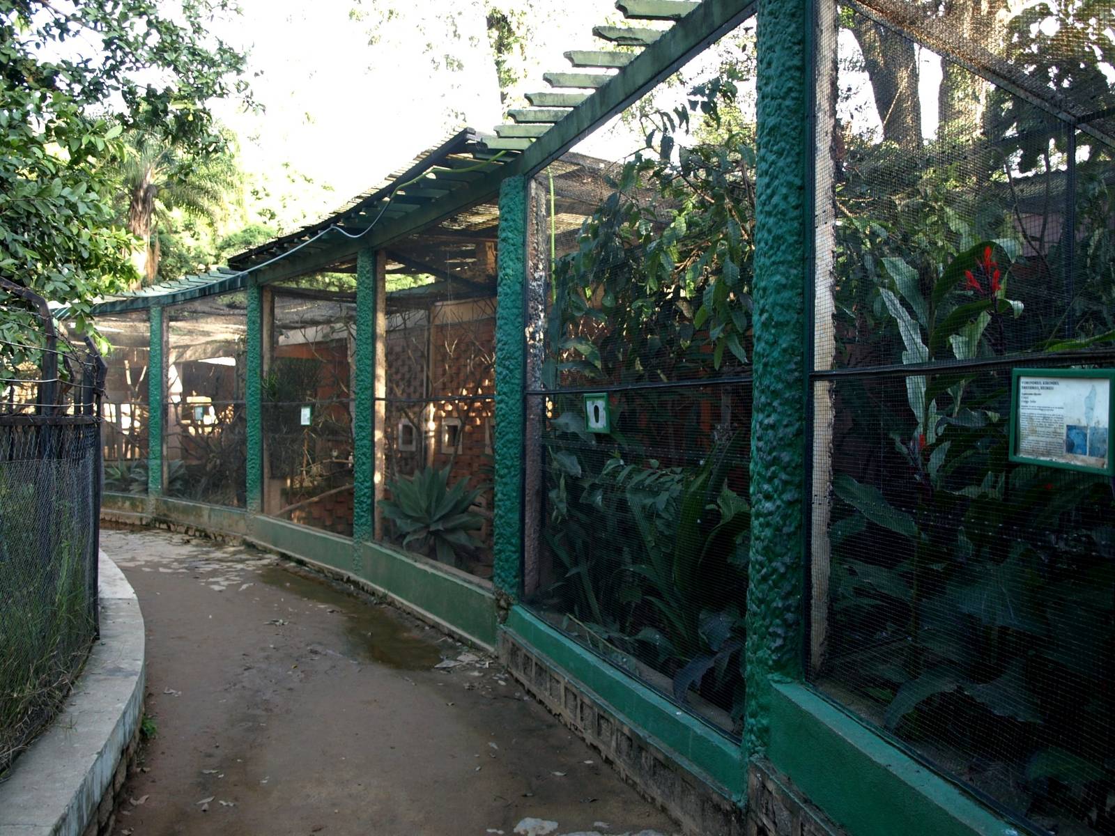 Tsimbazaza Zoo - Aviaries