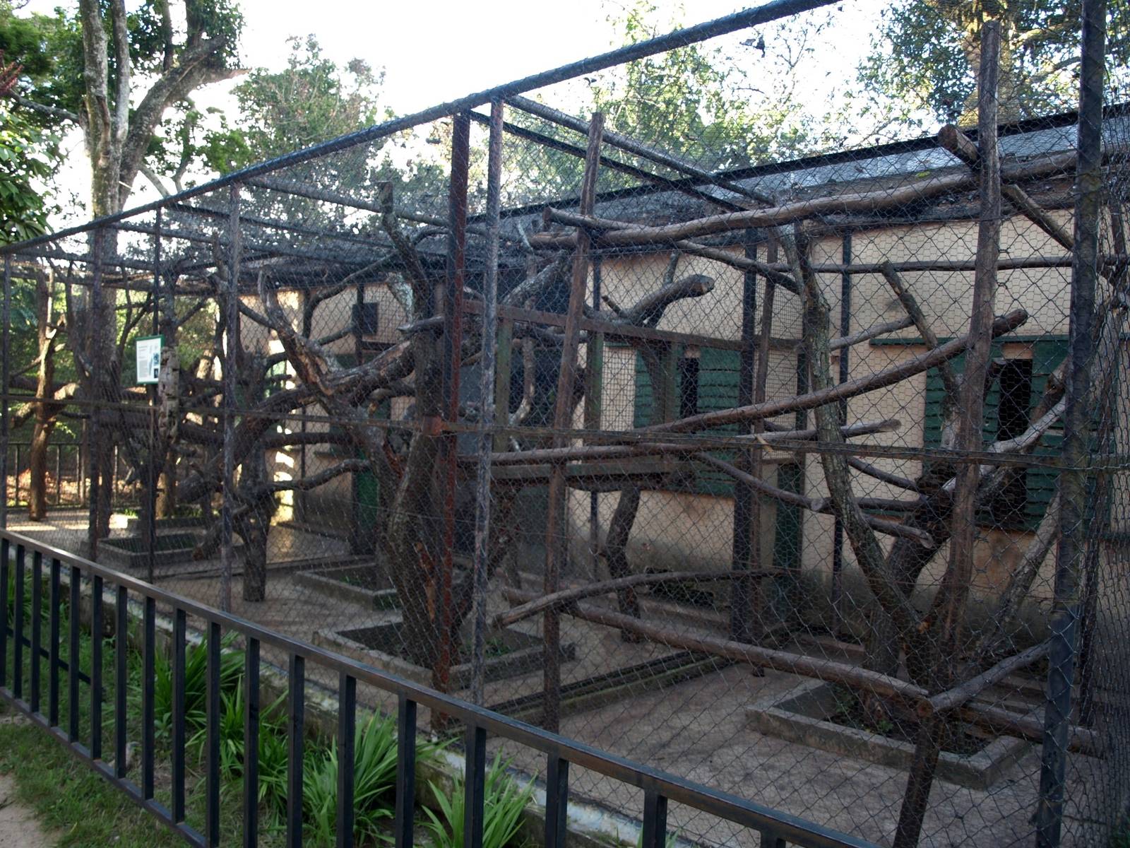 Tsimbazaza Zoo - Aye-Aye Breeding Centre