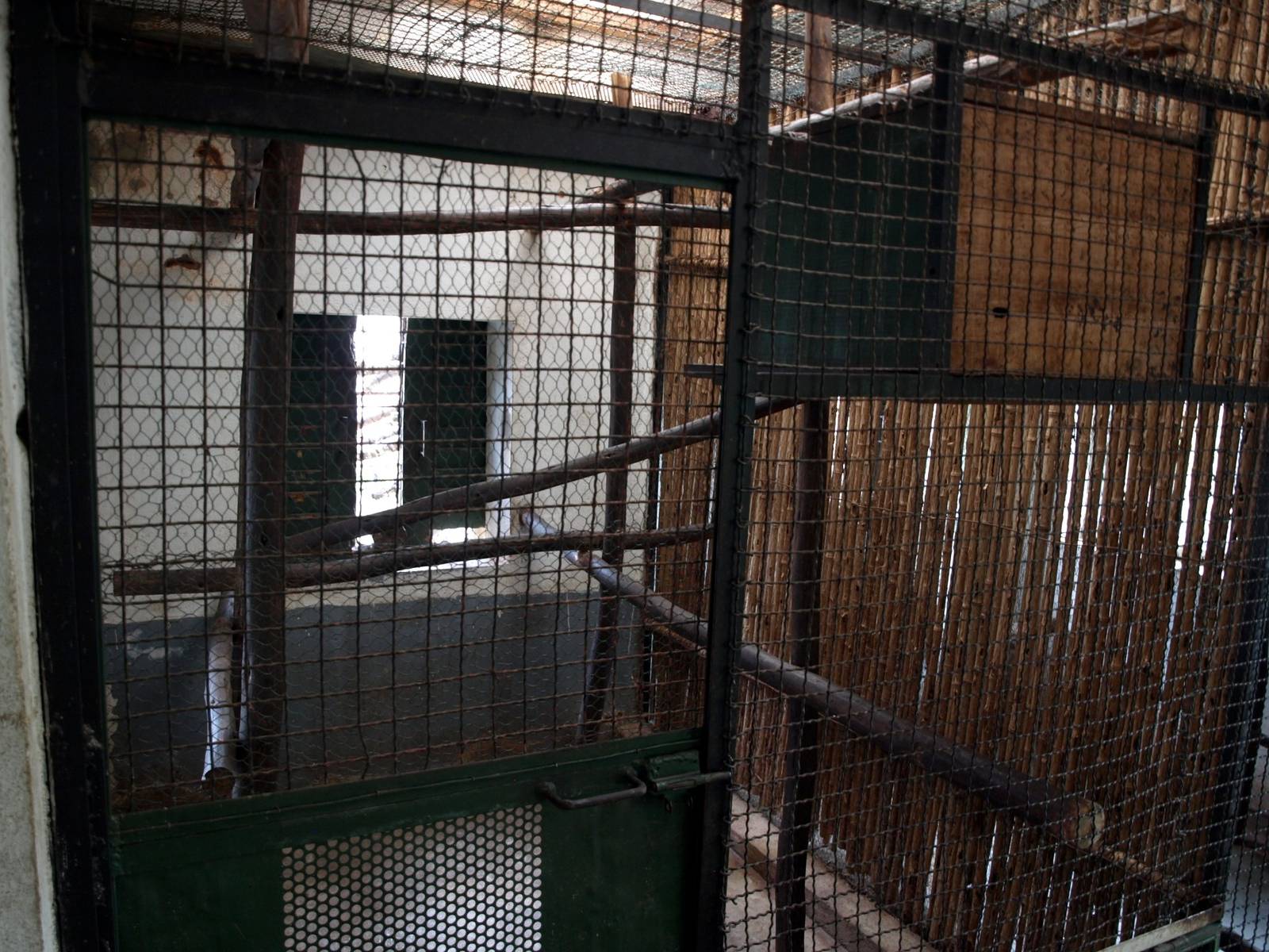 Tsimbazaza Zoo - Aye-Aye Breeding Centre