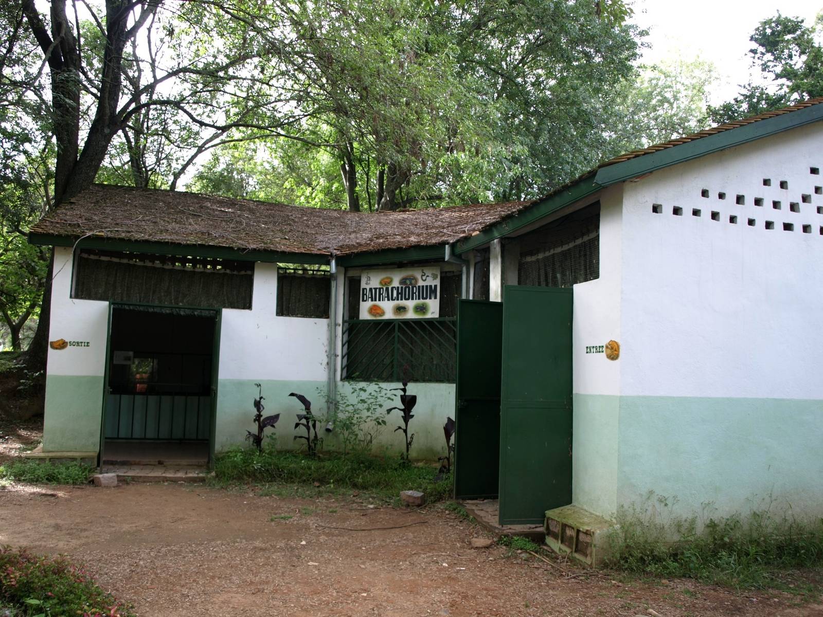 Tsimbazaza Zoo - Batrachorium