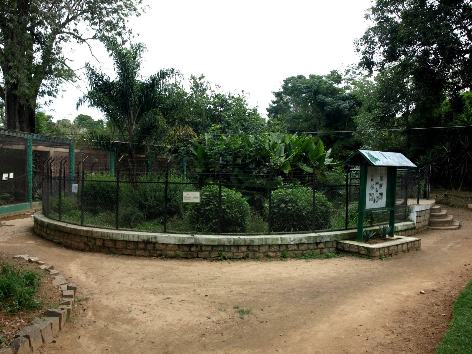 Tsimbazaza Zoo - Crocodile exhibit