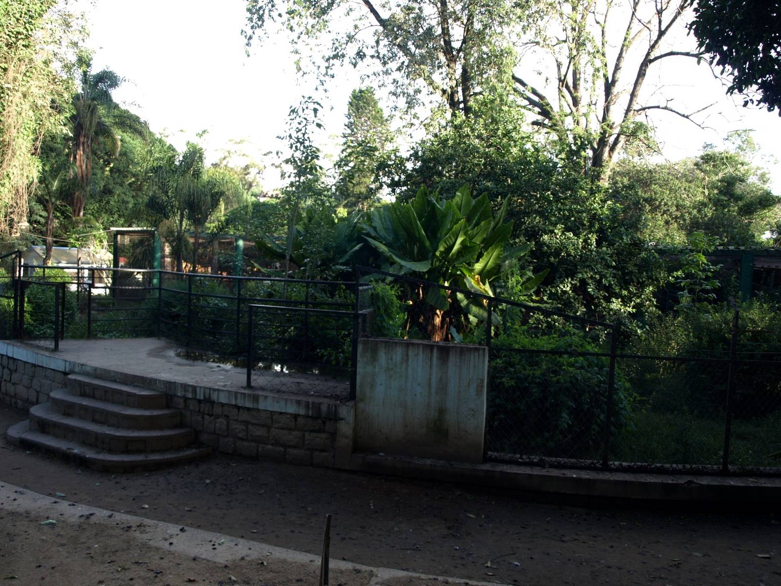 Tsimbazaza Zoo - Crocodile exhibit