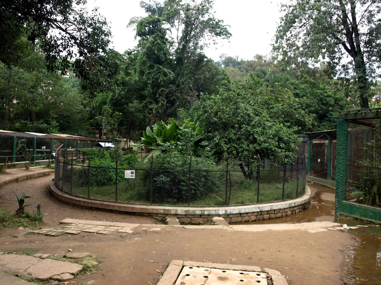 Tsimbazaza Zoo - Crocodile exhibit
