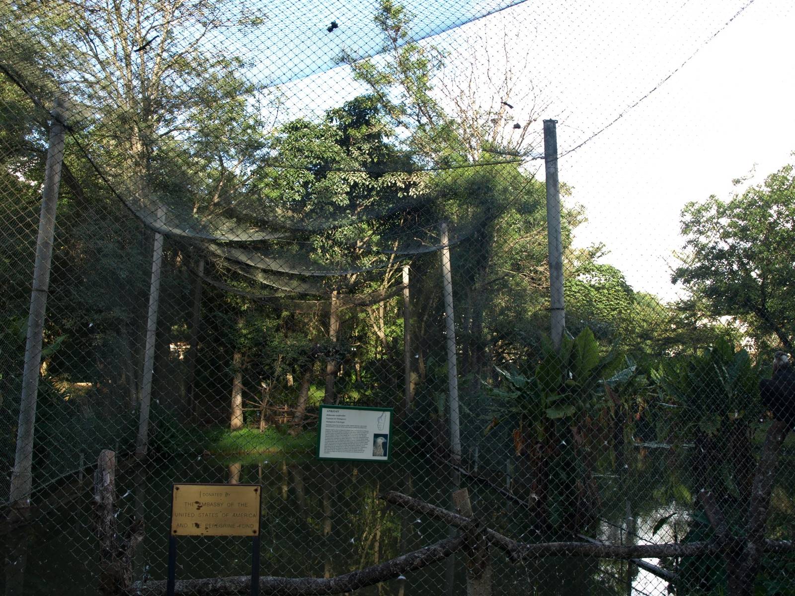 Tsimbazaza Zoo - Fish eagle aviary