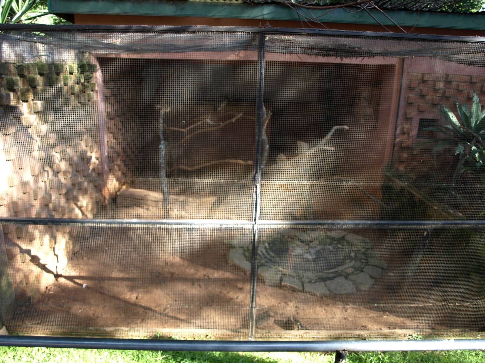 Tsimbazaza Zoo - Ibis aviary