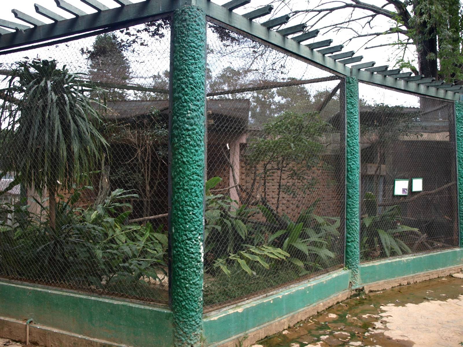 Tsimbazaza Zoo - Ibis aviary