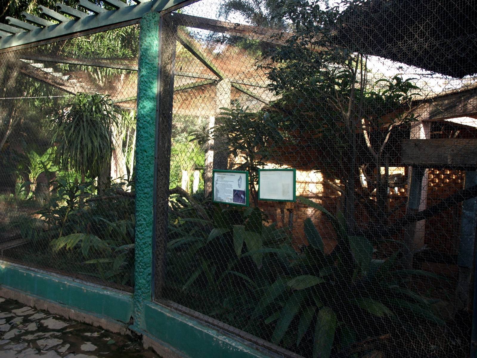 Tsimbazaza Zoo - Ibis aviary