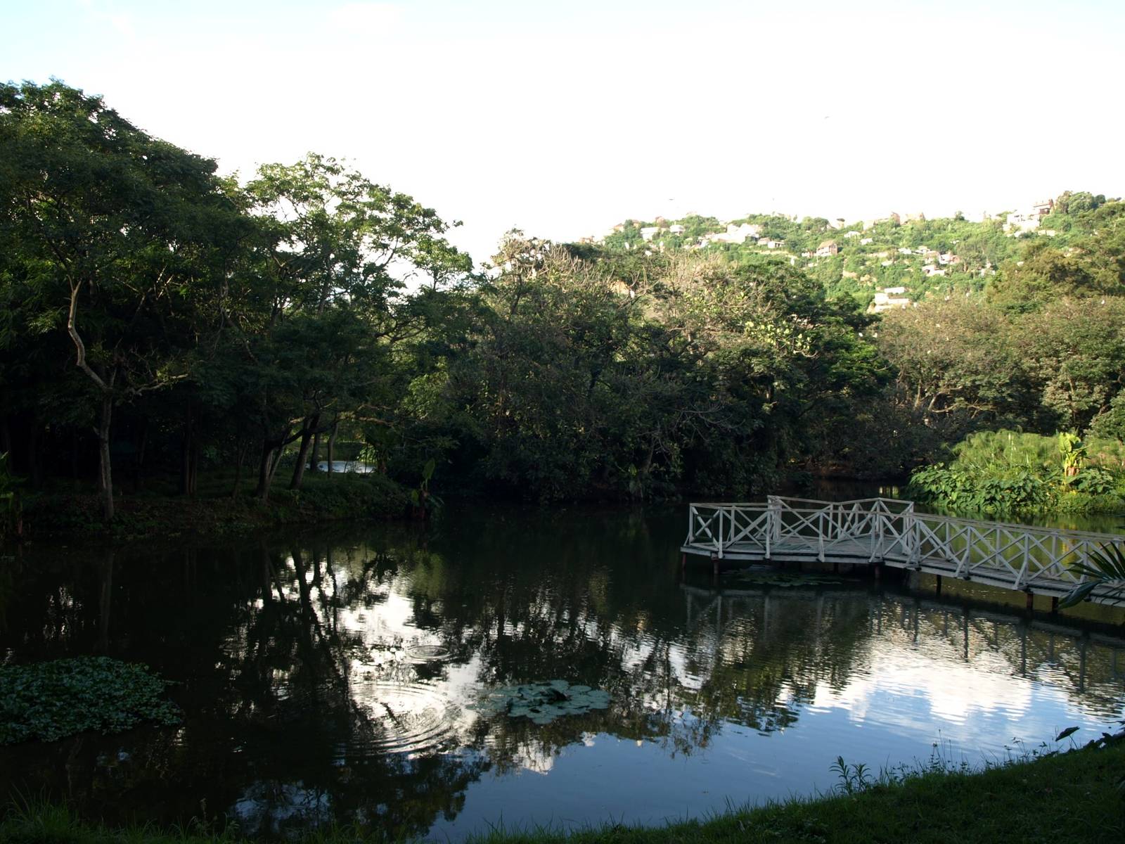 Tsimbazaza Zoo - Lake