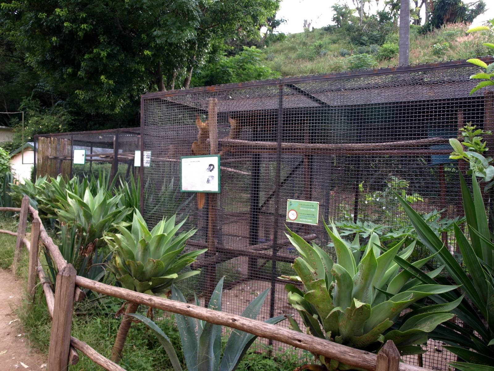 Tsimbazaza Zoo - Lemur cages