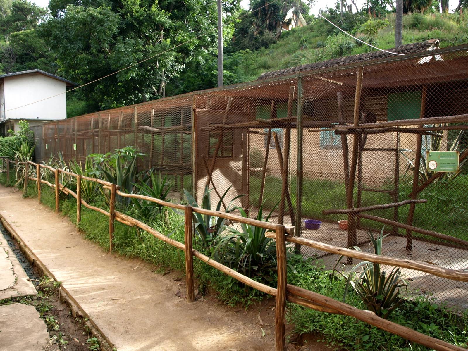 Tsimbazaza Zoo - Lemur cages