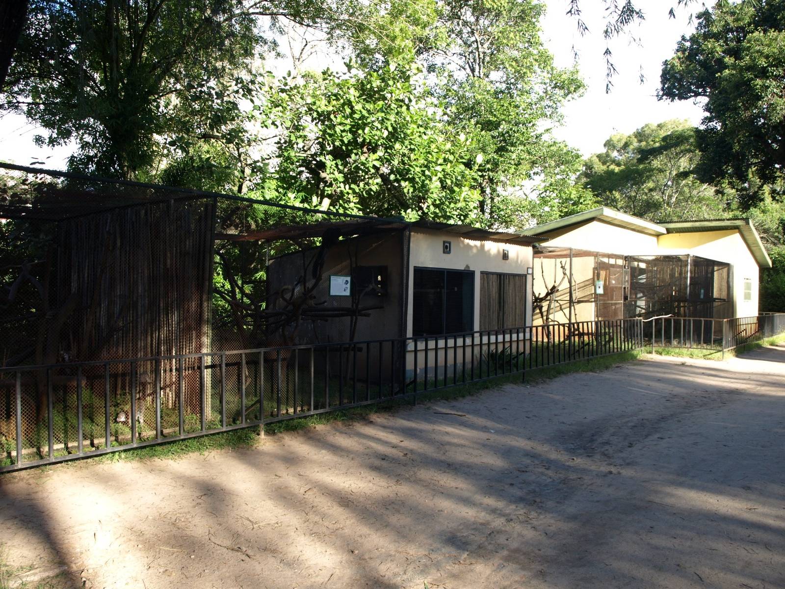 Tsimbazaza Zoo - Lemur exhibits