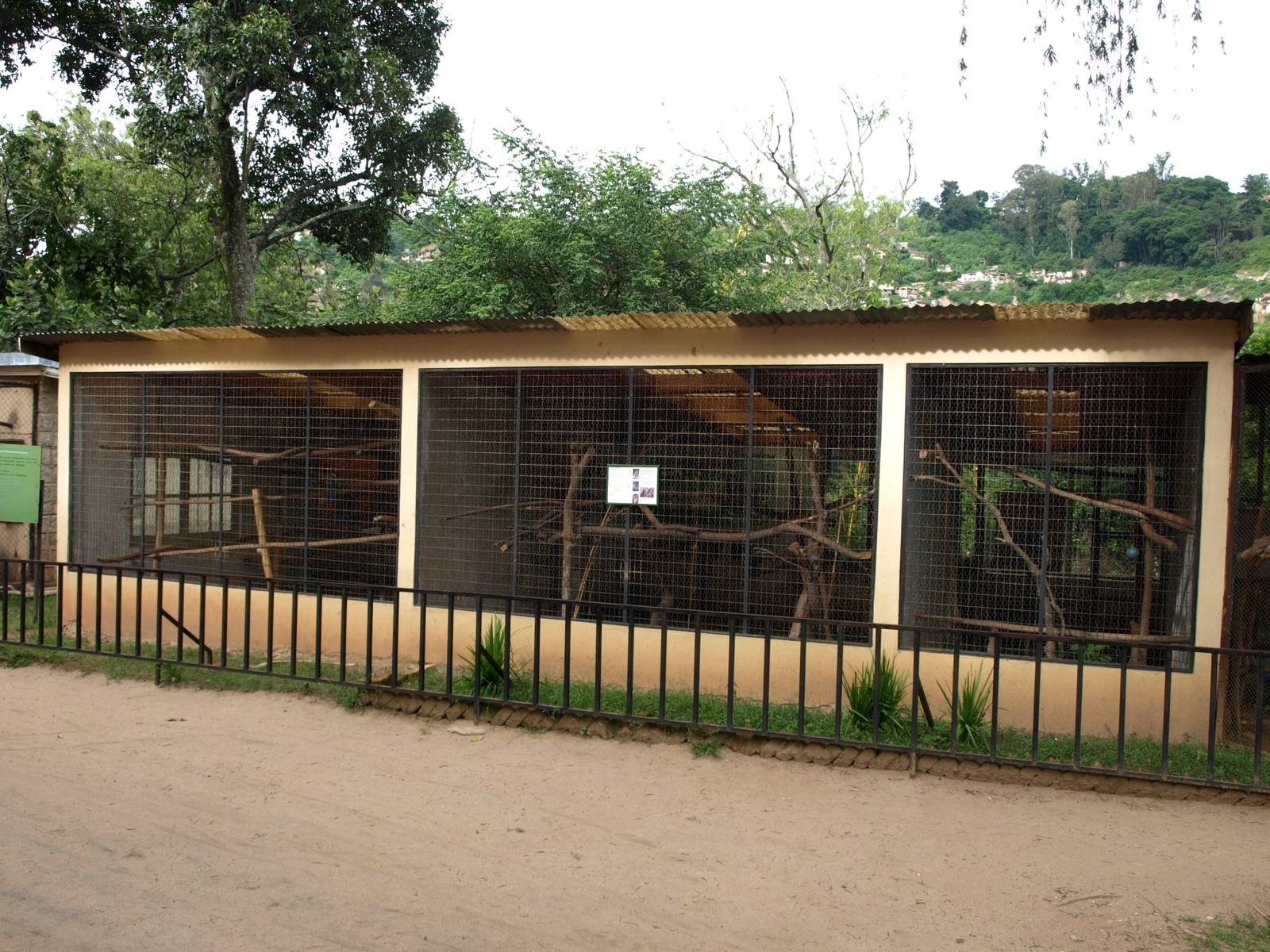 Tsimbazaza Zoo - Lemur exhibits
