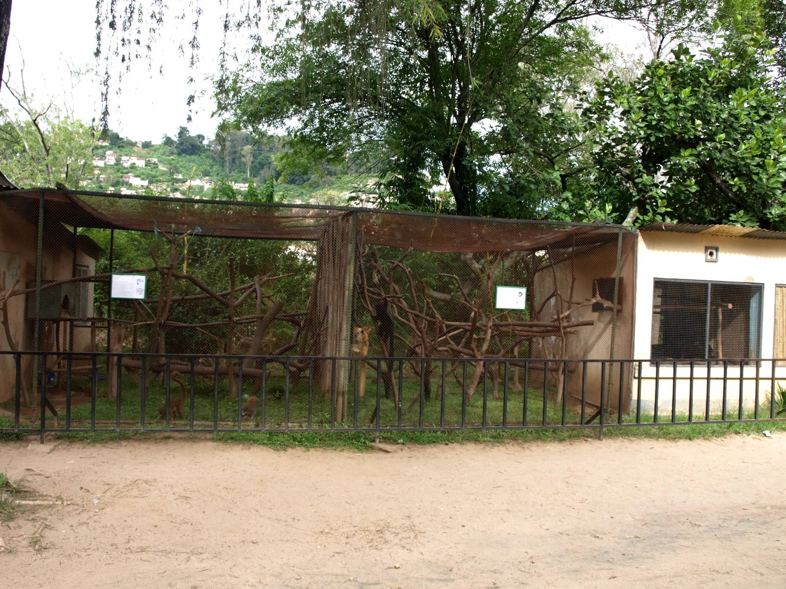 Tsimbazaza Zoo - Lemur exhibits