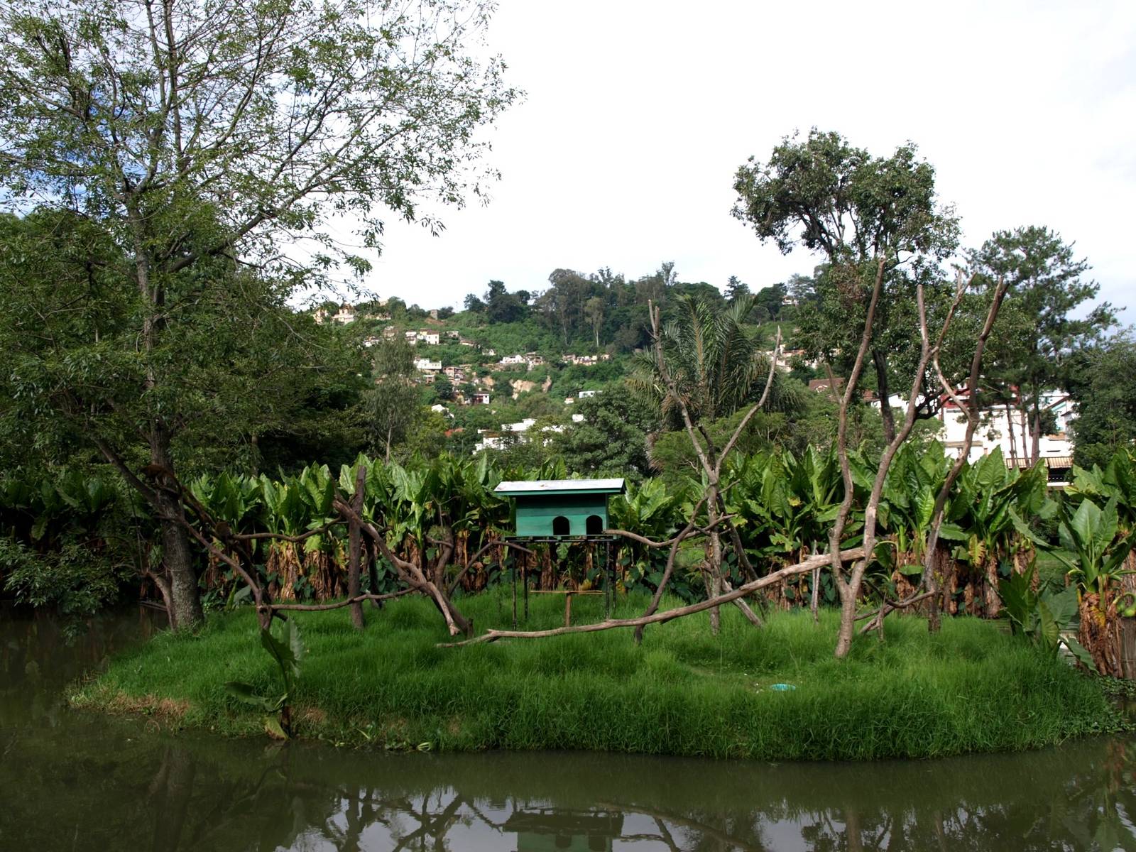 Tsimbazaza Zoo - Lemur island