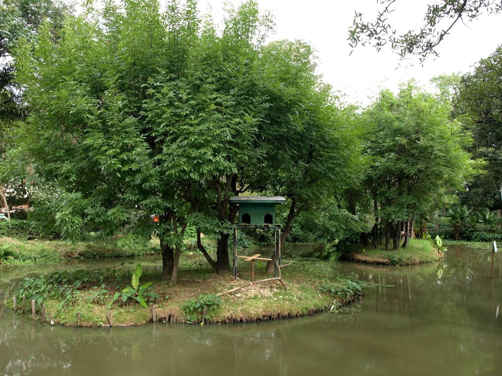 Tsimbazaza Zoo - Lemur islands
