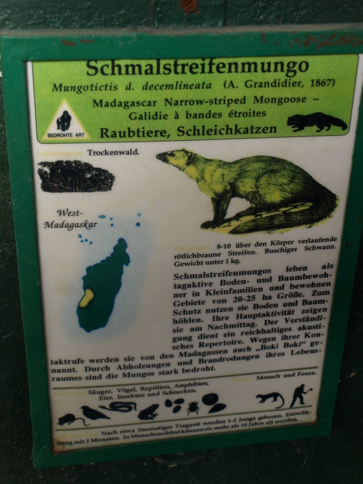 Tsimbazaza Zoo - Name that sign?