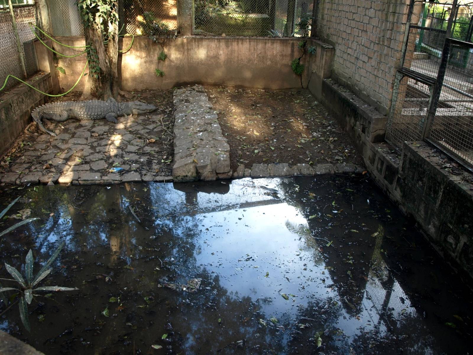 Tsimbazaza Zoo - Old crocodile exhibit