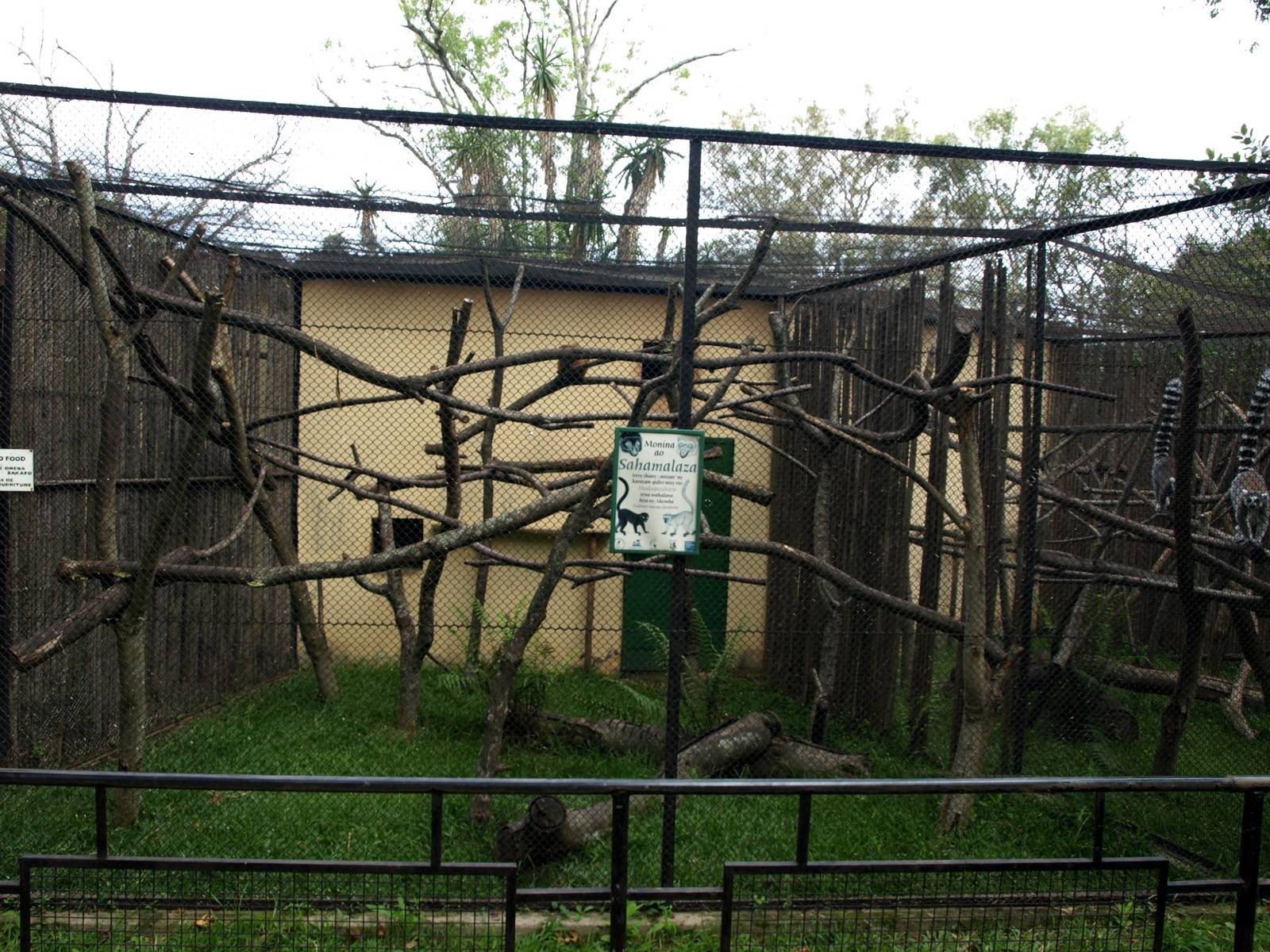 Tsimbazaza Zoo - Round House