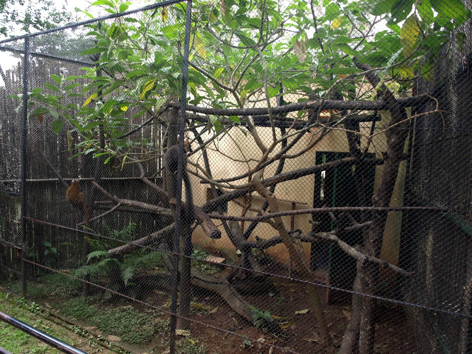 Tsimbazaza Zoo - Round House