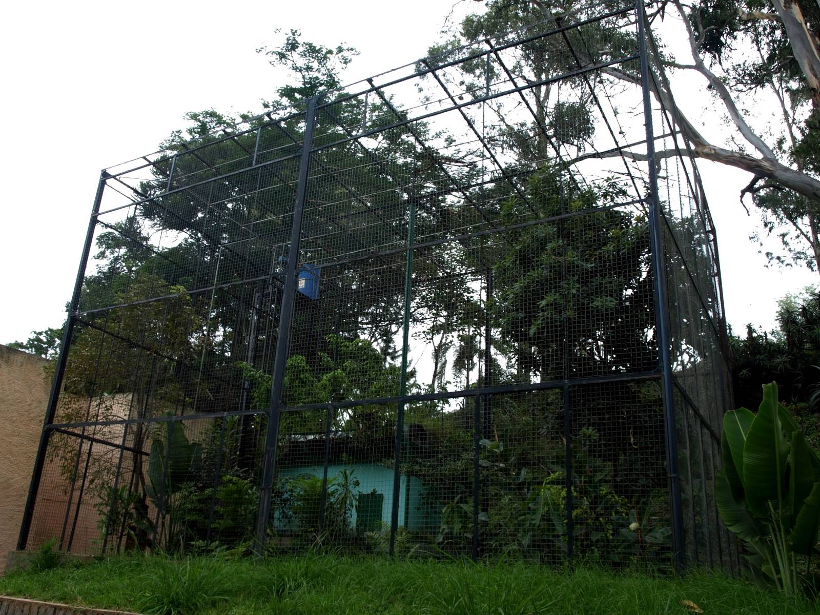 Tsimbazaza Zoo - Ruffed lemur exhibit