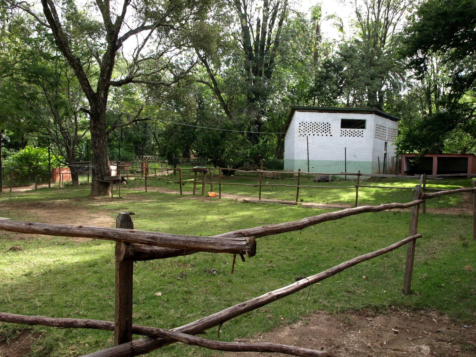 Tsimbazaza Zoo - Tortoise and ostrich exhibit