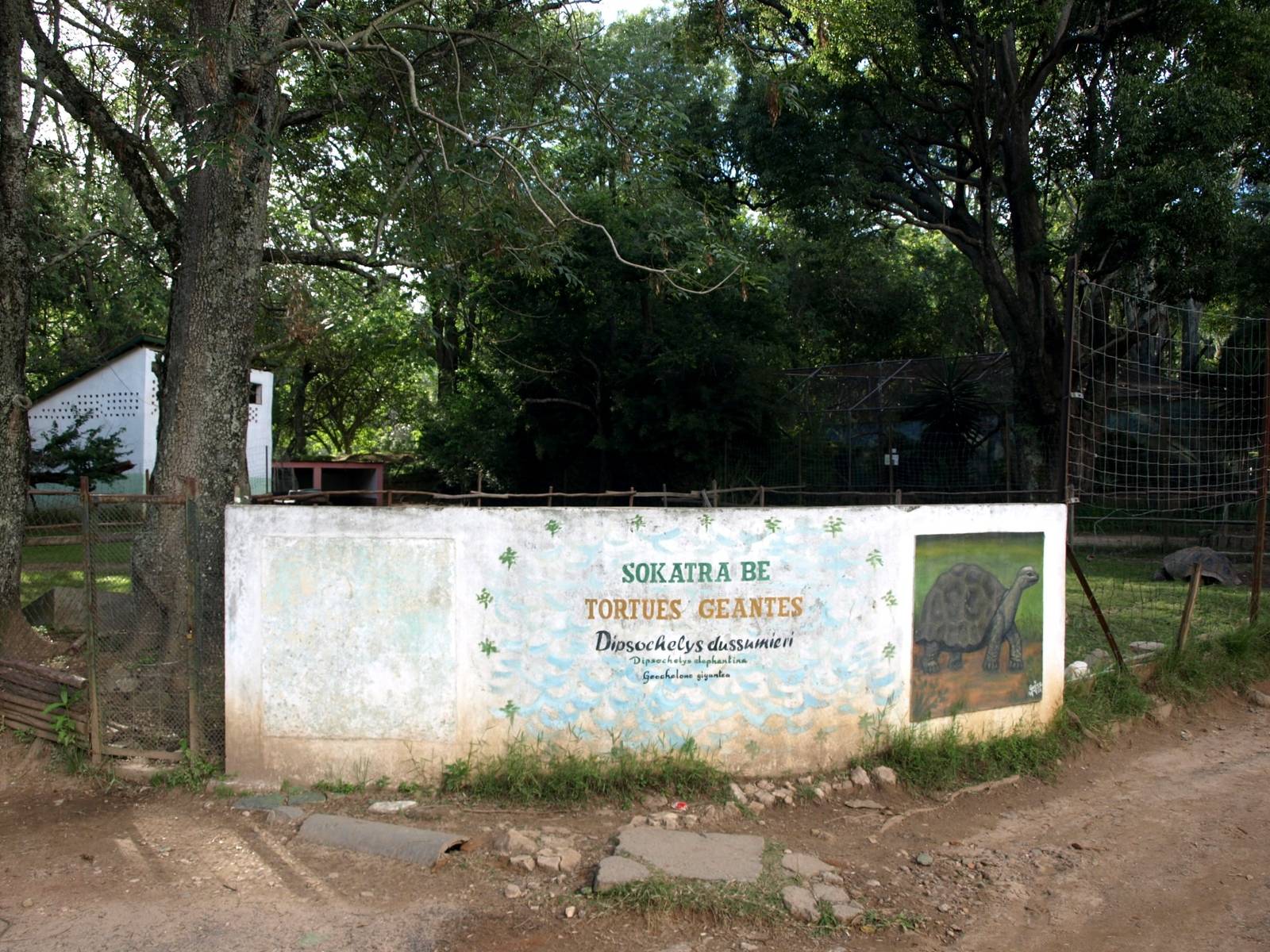 Tsimbazaza Zoo - Tortoise sign