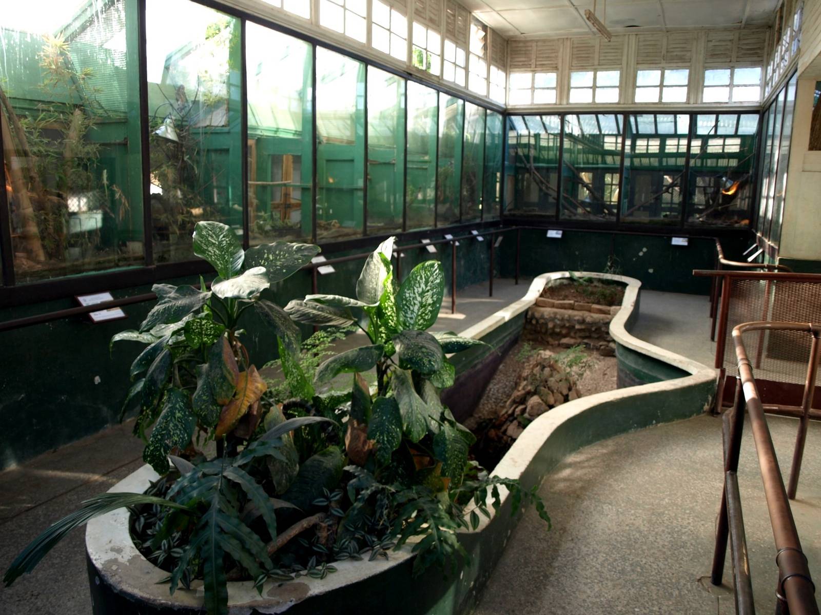 Tsimbazaza Zoo - Vivarium