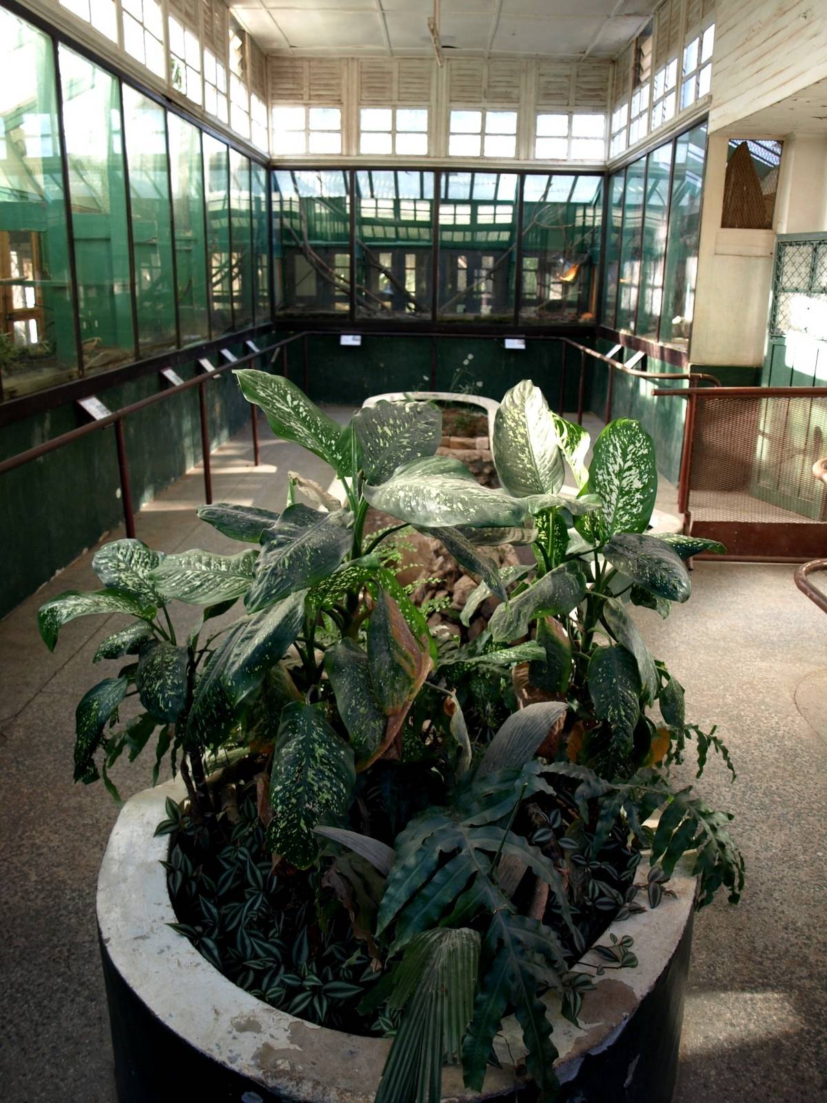 Tsimbazaza Zoo - Vivarium
