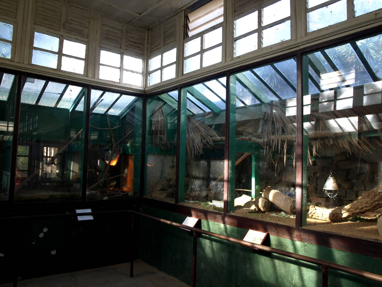 Tsimbazaza Zoo - Vivarium