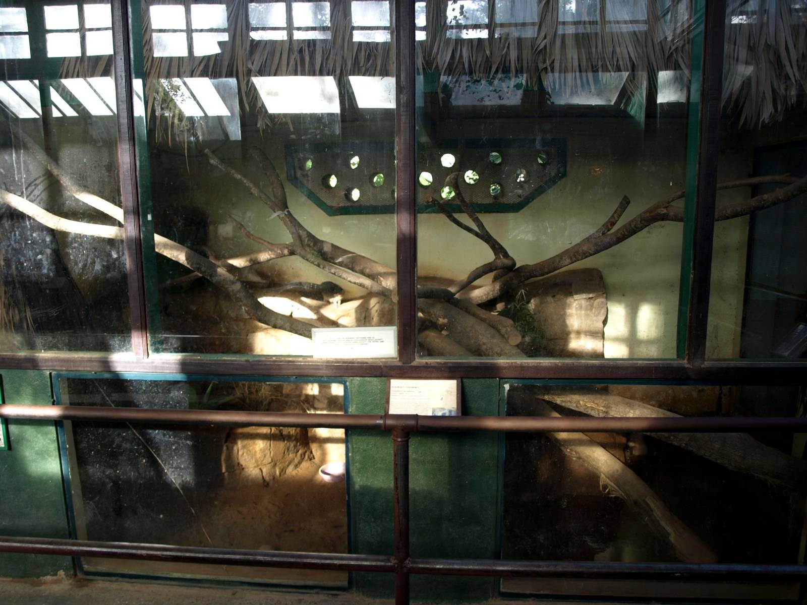 Tsimbazaza Zoo - Vivarium