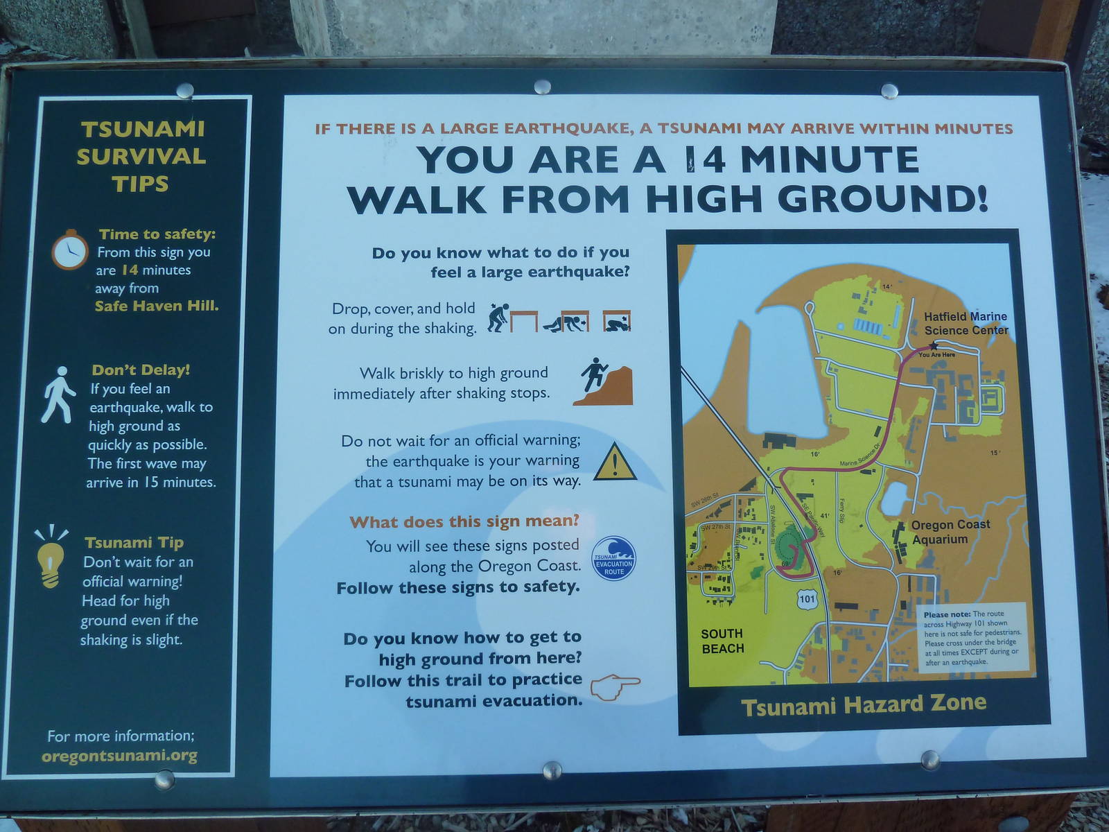 Tsunami Warning Sign