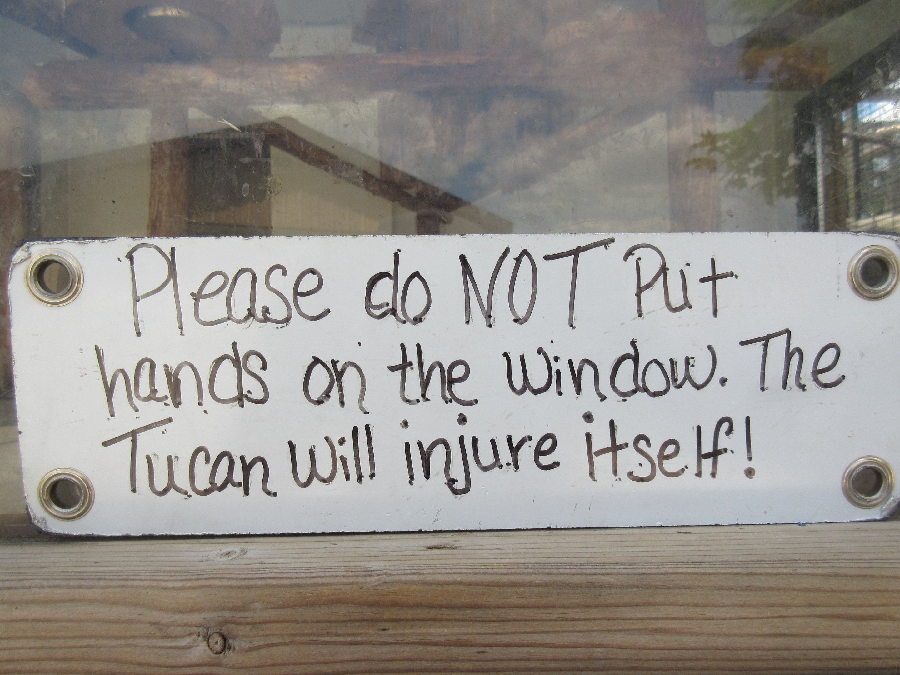 Tu Can or Not Tu Can?