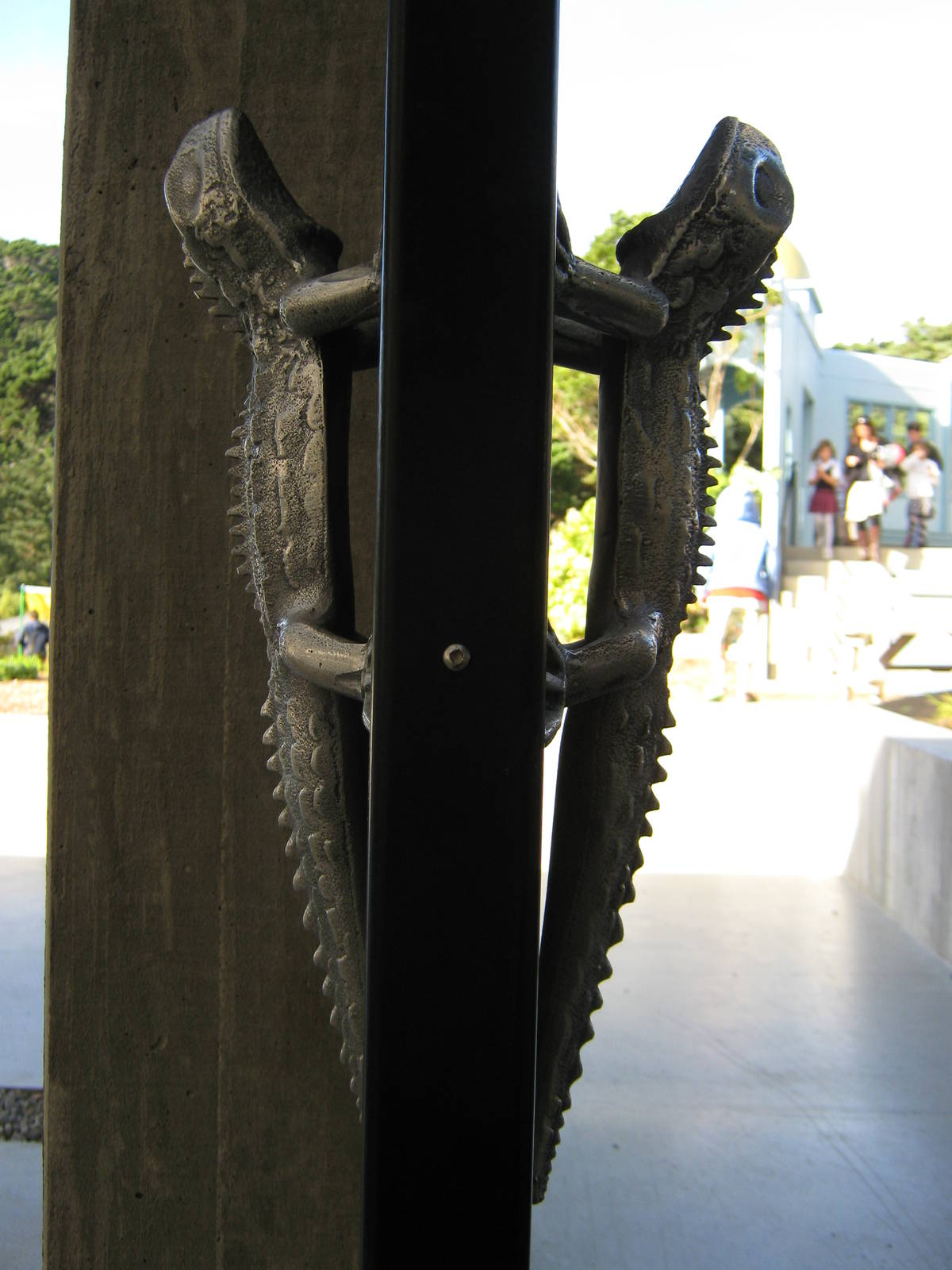 tuatara door handles!