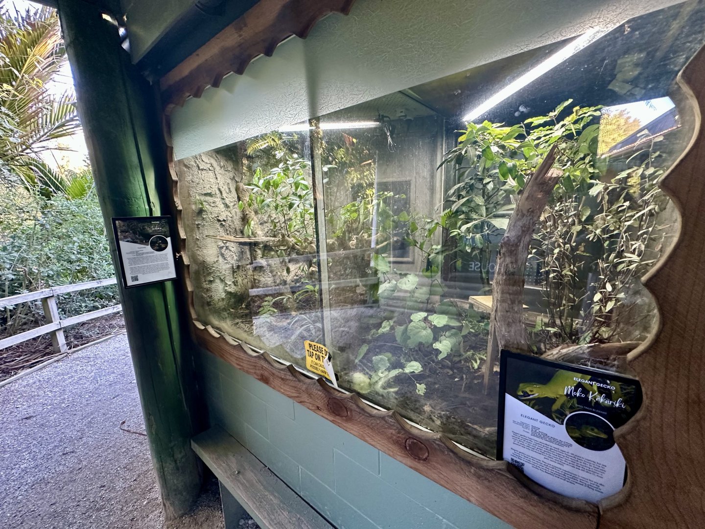 Tuatara/Elegant Gecko Exhibits