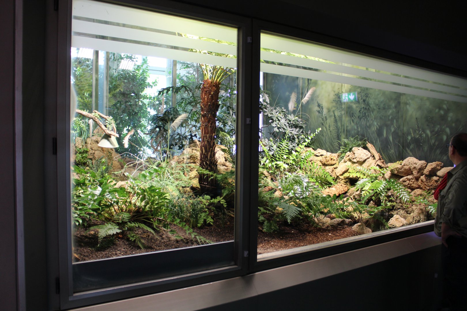 Tuatara Enclosure - July 2019