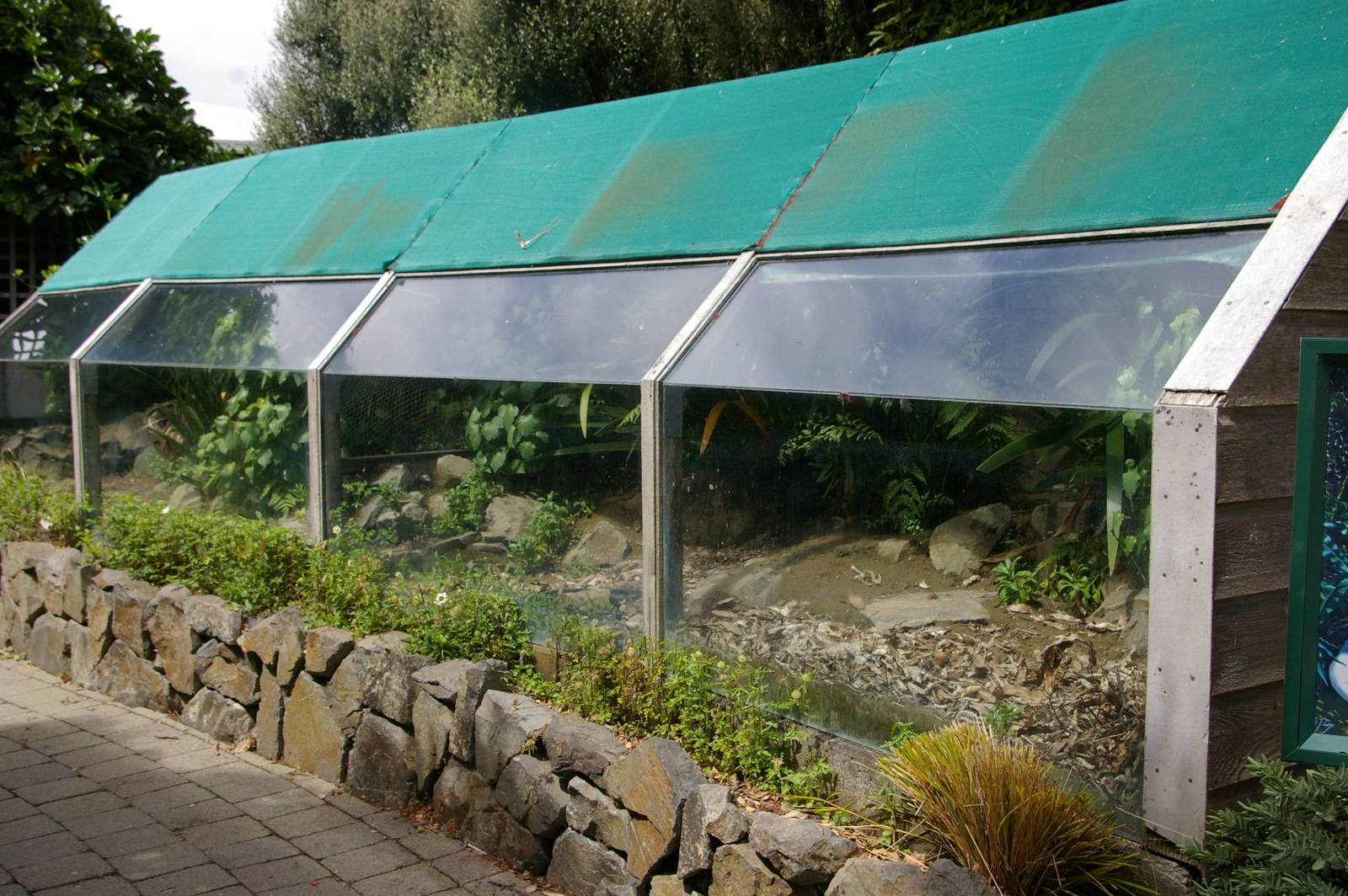 tuatara enclosure