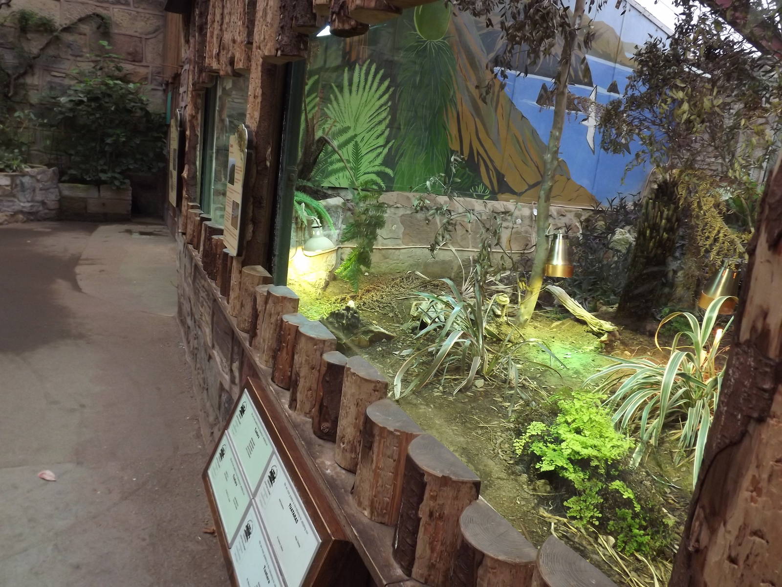 Tuatara exhibit at Chester Zoo 31/03/12