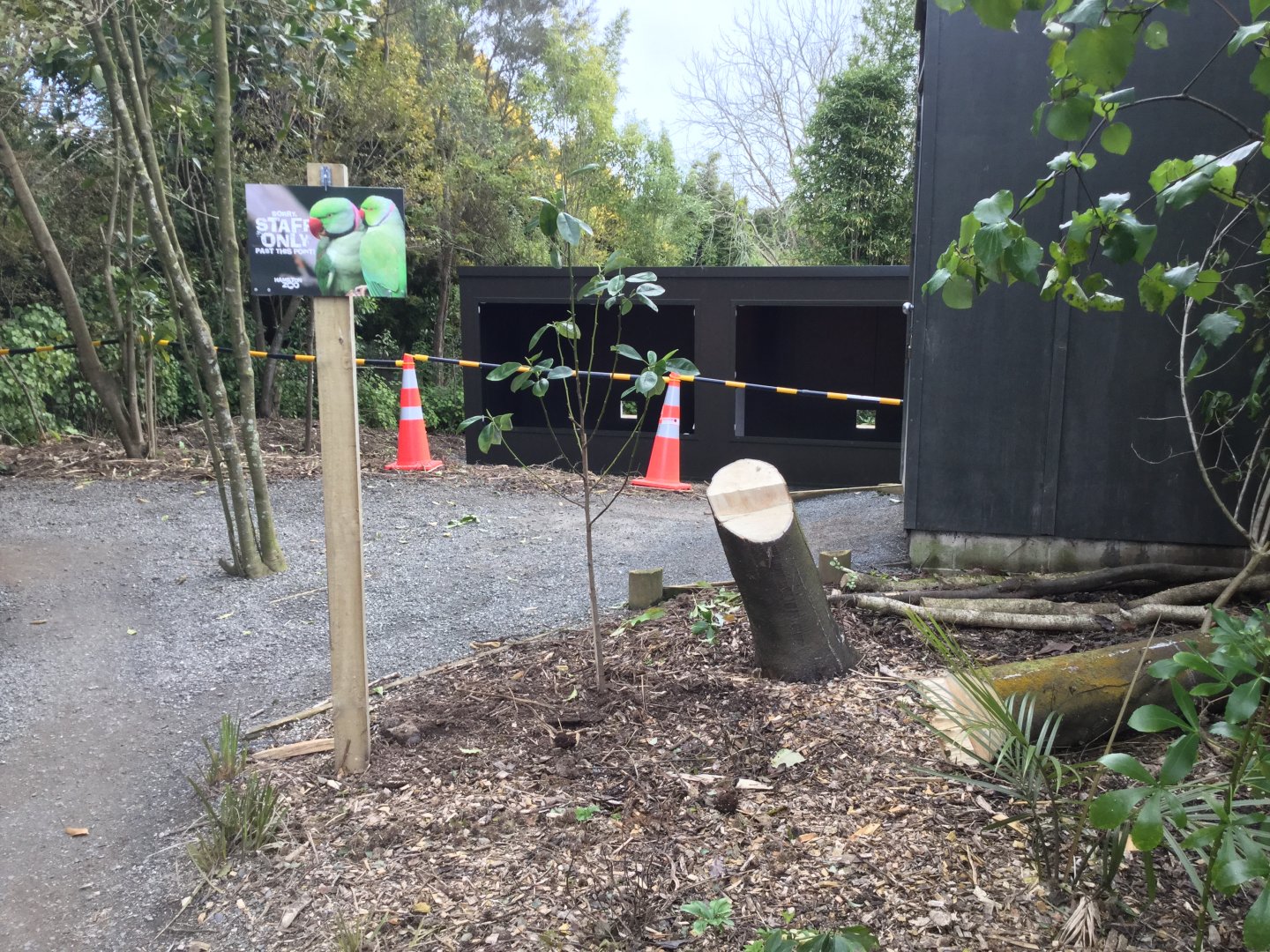 Tuatara House (Under Construction)