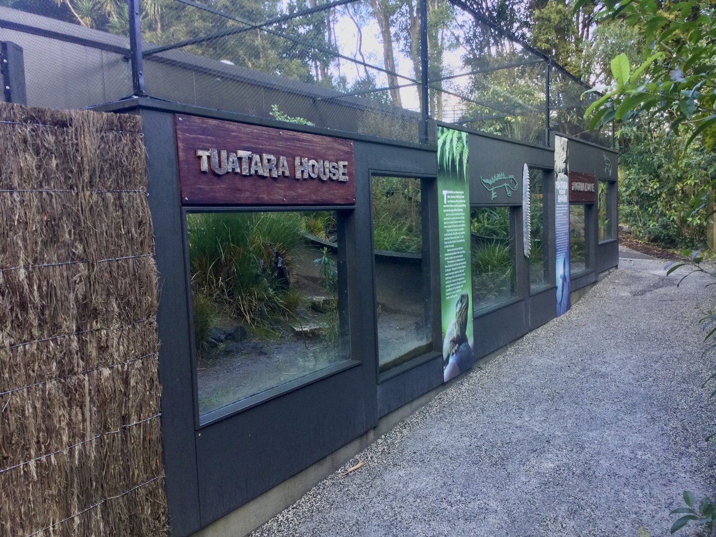 Tuatara House