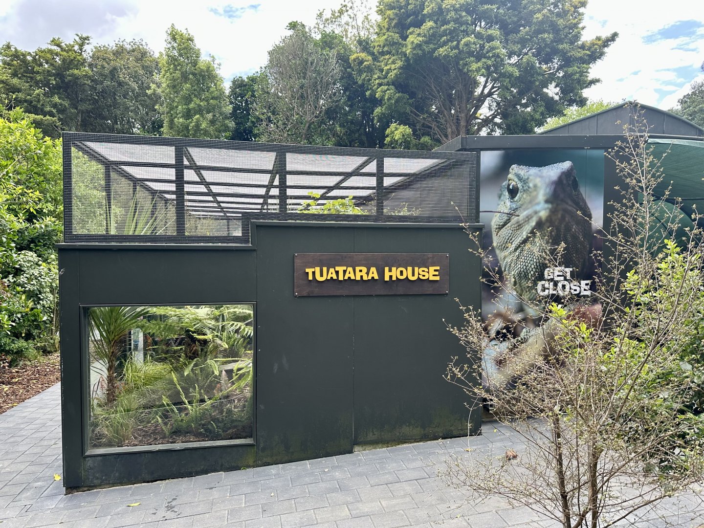 Tuatara House