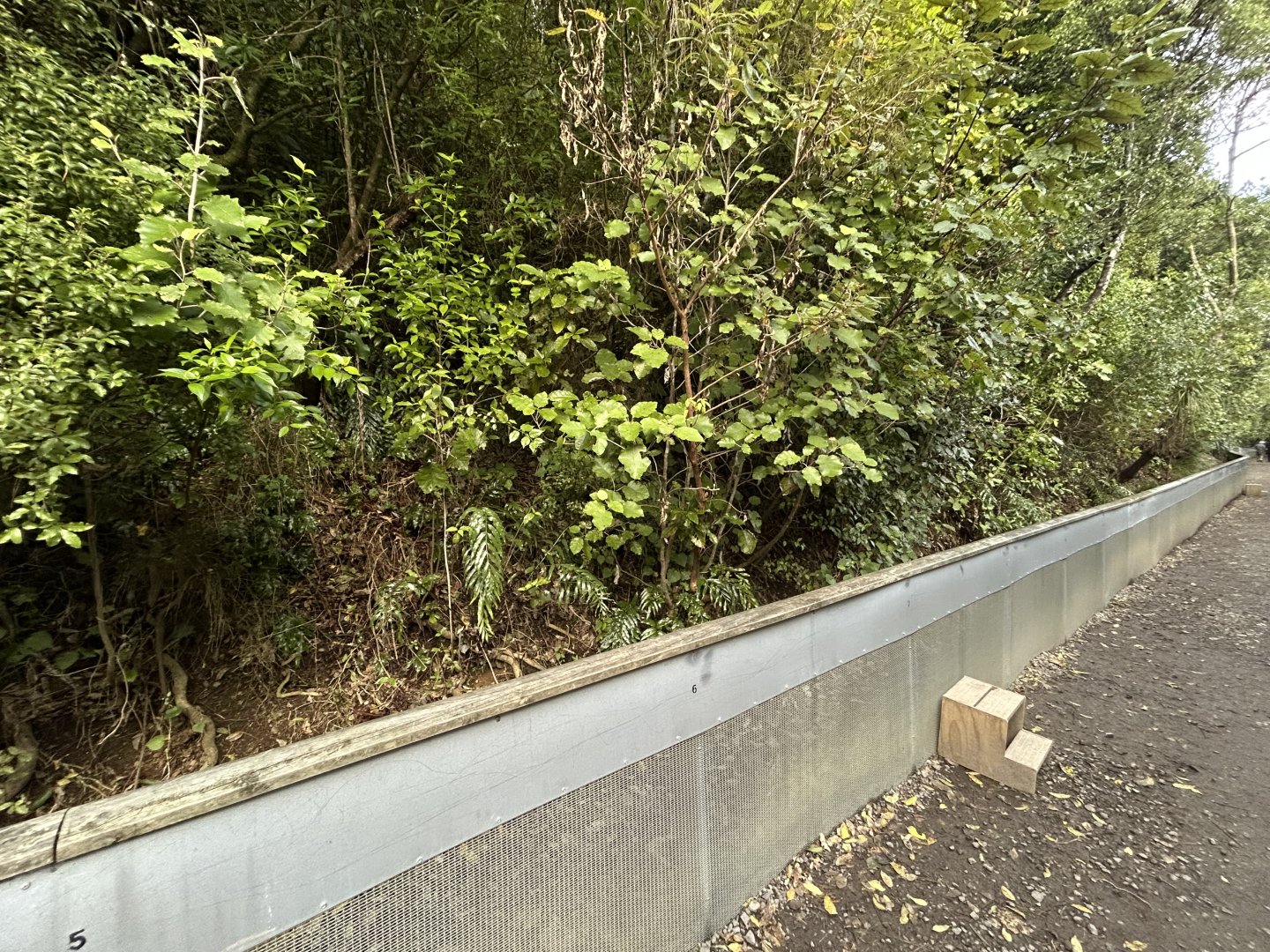 Tuatara Research Enclosure