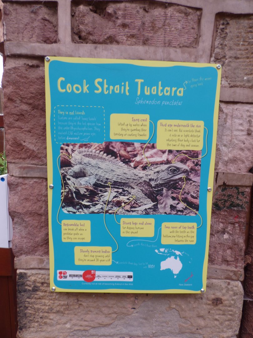 Tuatara Signage