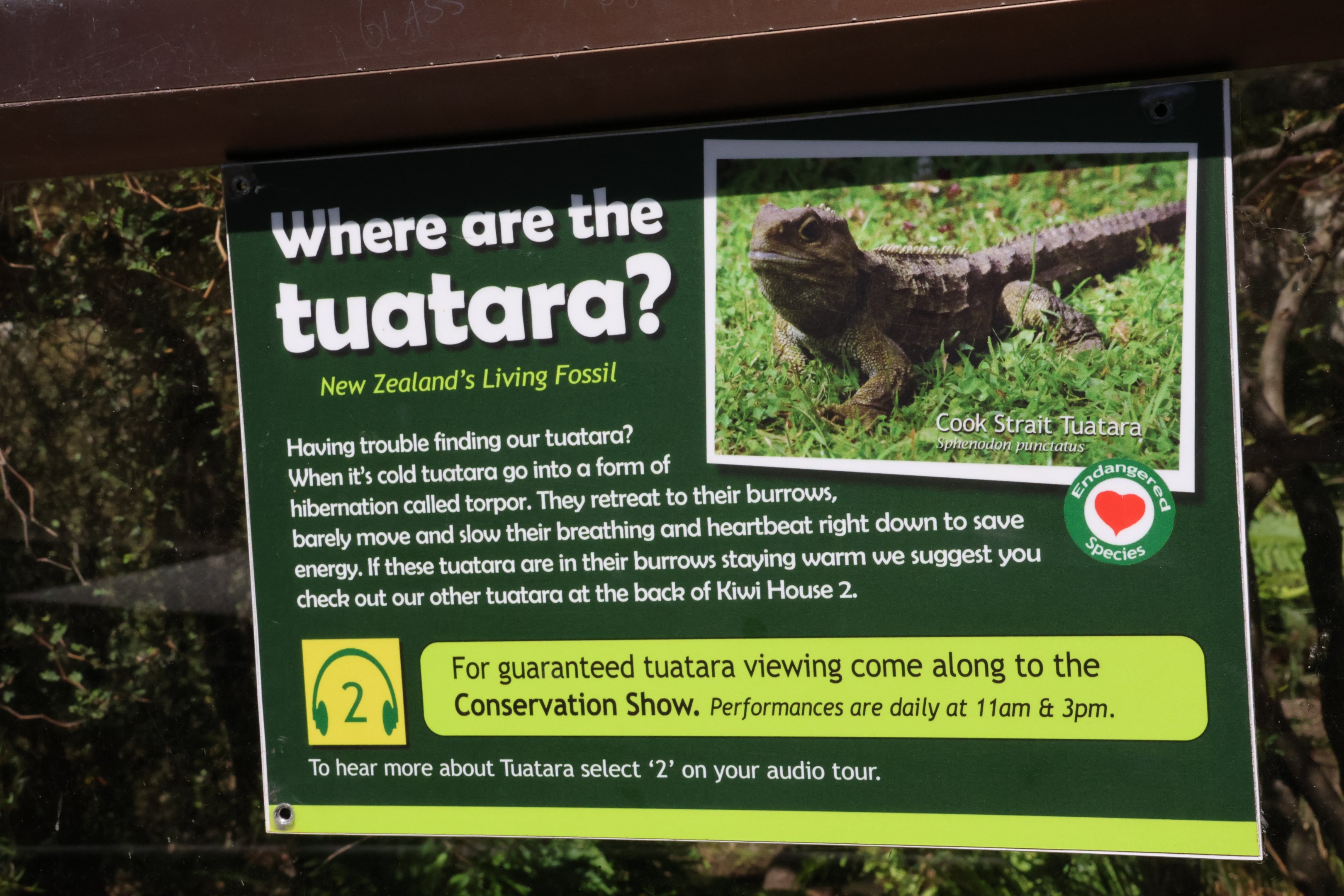 Tuatara torpor signage