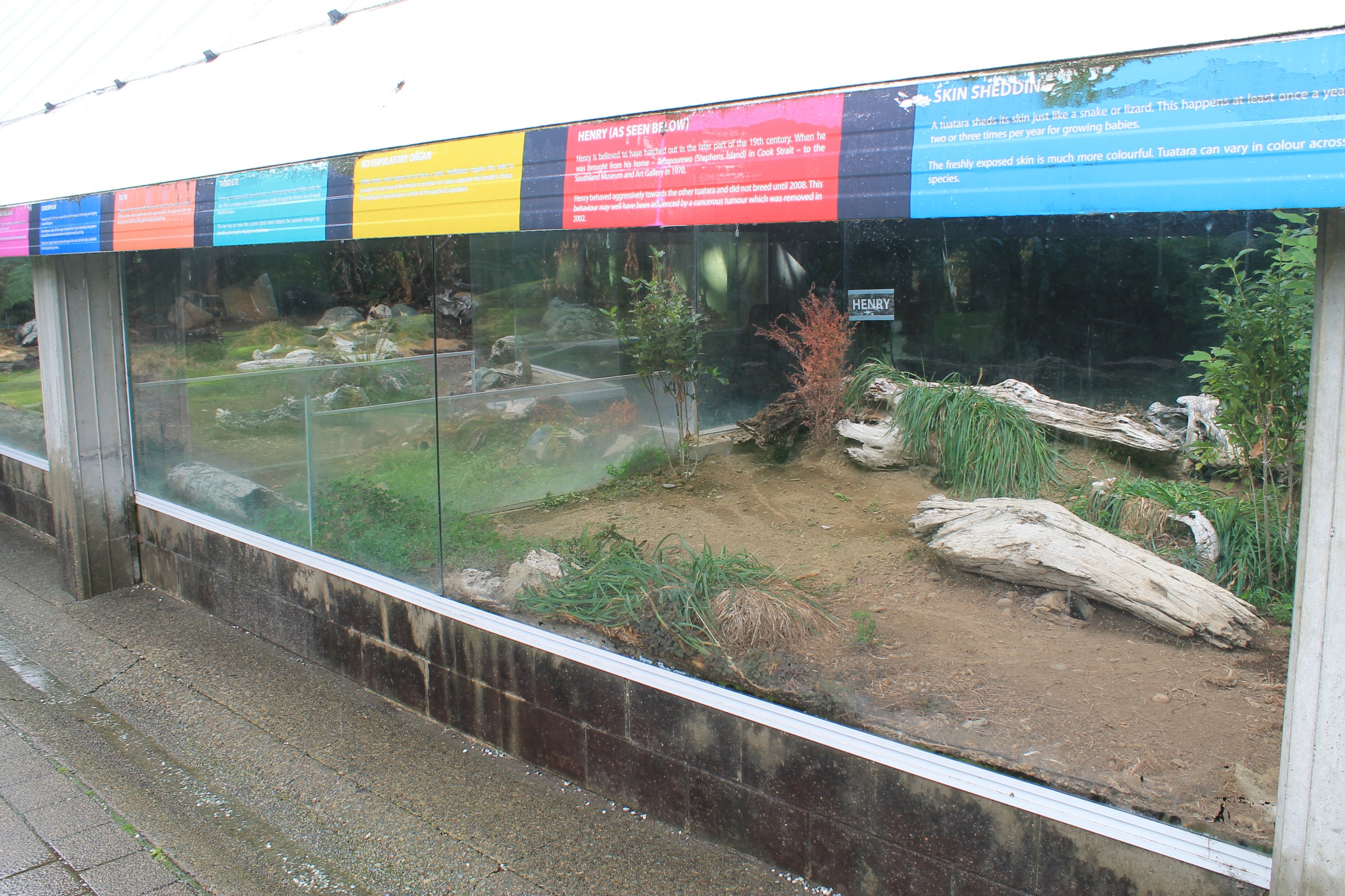 Tuatarium, Invercargill