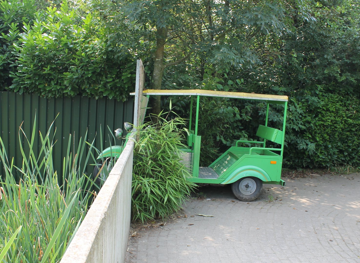 Tuc-tuc into Bear-enclosure