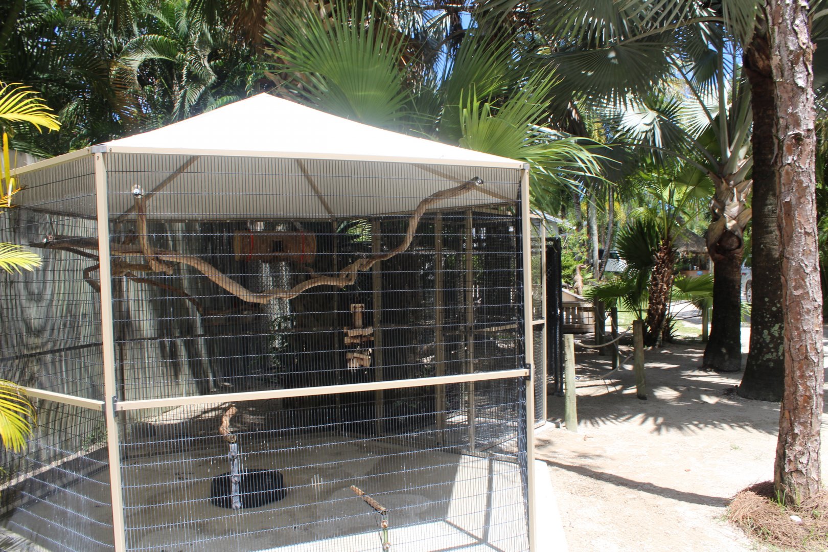 Tucan Cage - Mccarthy Wildlife Sanctuary