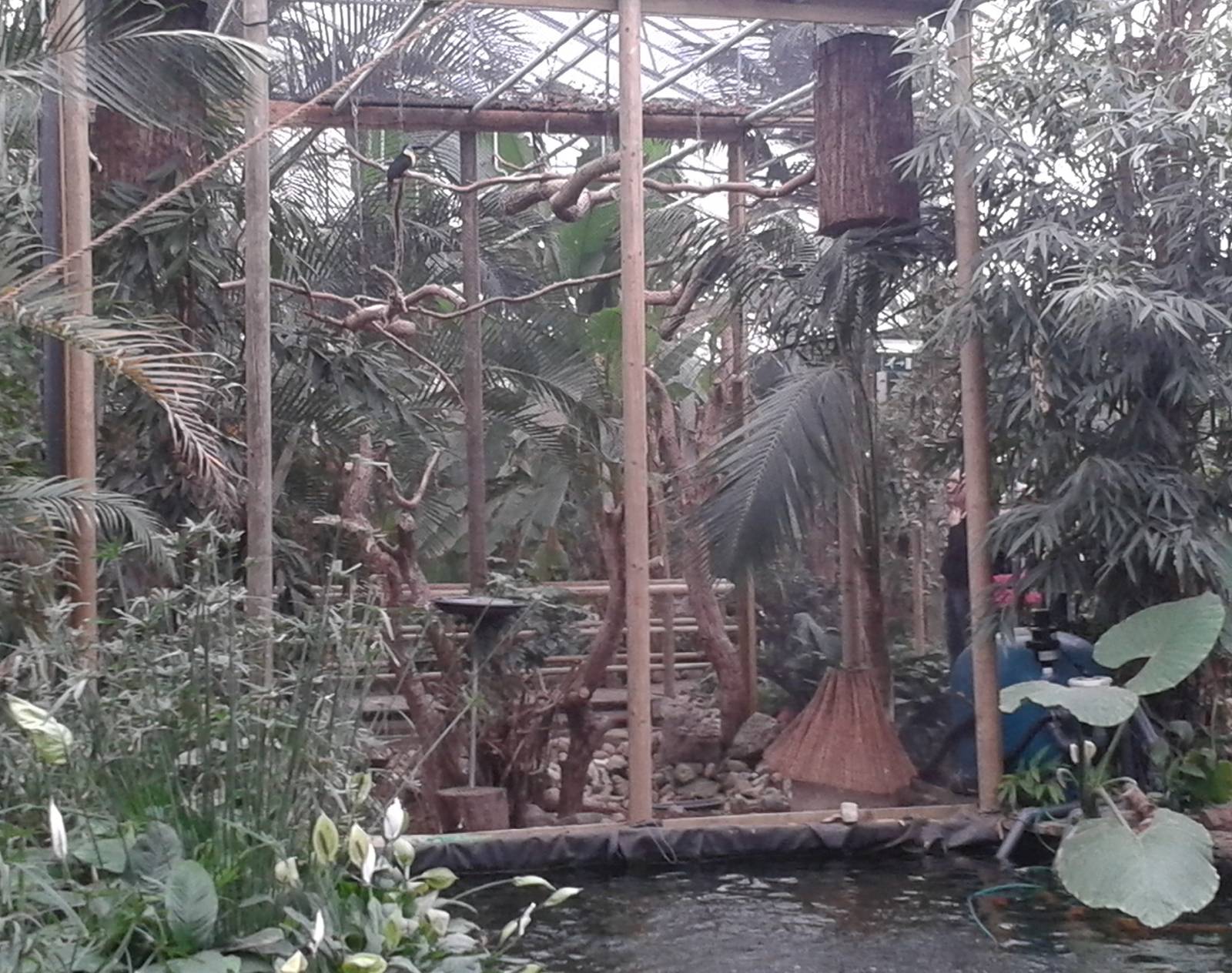 tucan enclosure