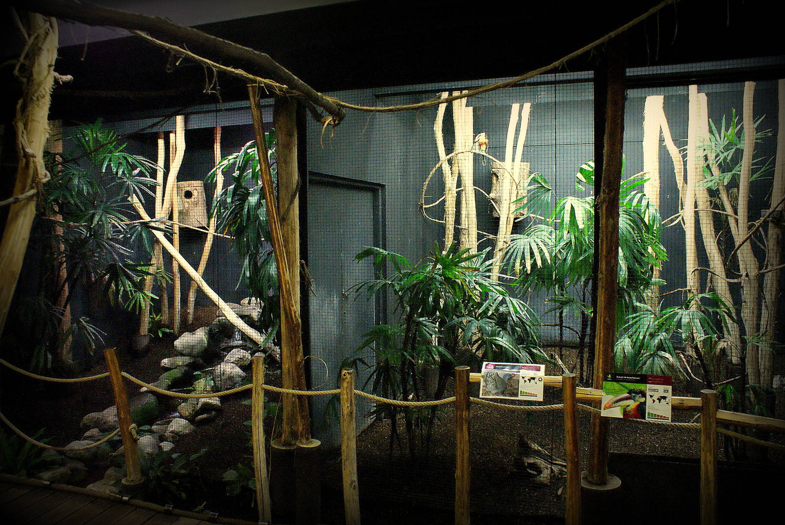 tucan exhibit