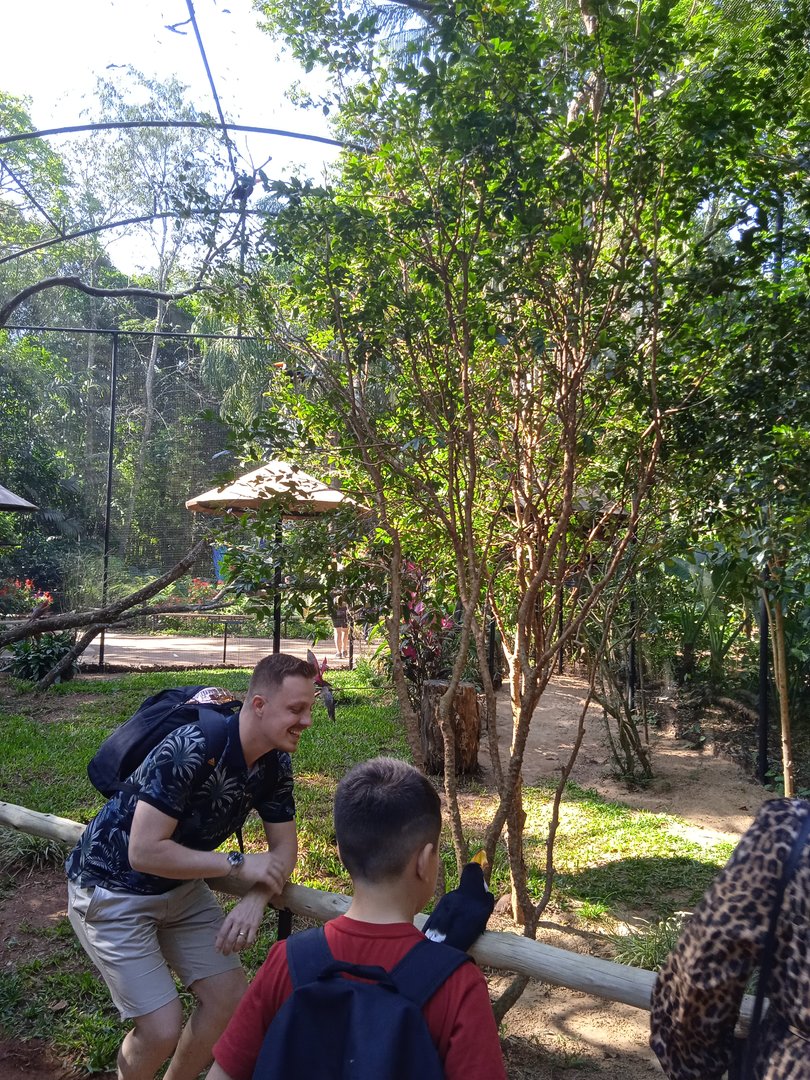 Tucan walk-through aviary