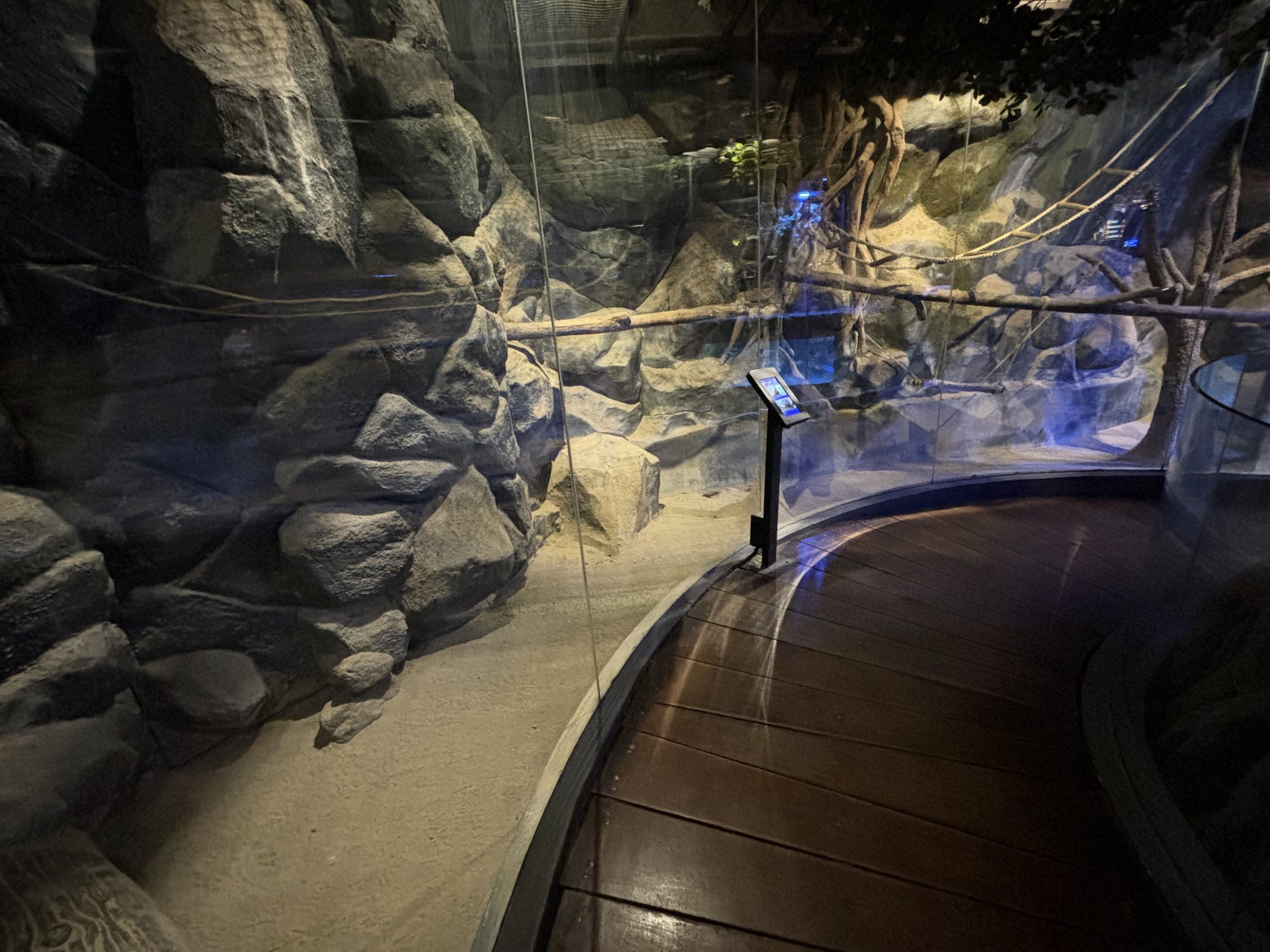 Tufted Capuchin/Binturong Exhibit